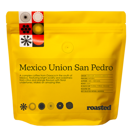 Mexico Union San Pedro